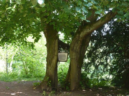 2012.07.04 Heldburg_Thür. SchlossLinde