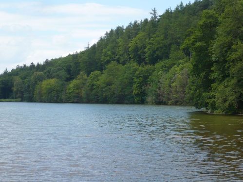 WILHELMSTHAL _ Park und SCHLOSS 