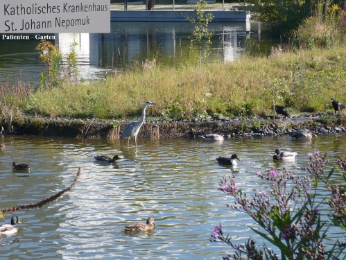 Erfurt Haarbergstraße