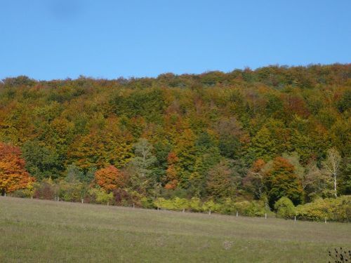 2012.10.11 Gr. HörselBerg-Wanderung 18 BILDERBUCH-HERBST