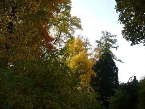 Herbst 2012.10.19 04