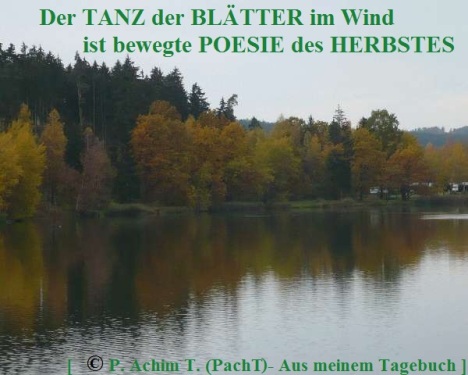 SSW299.Gedanke_Herbst