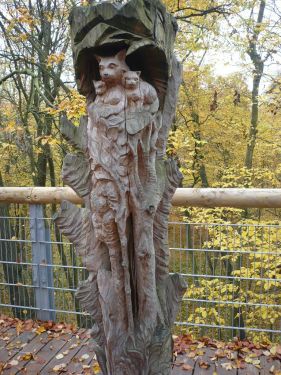 BaumKronenPfad 18 Okt.2012