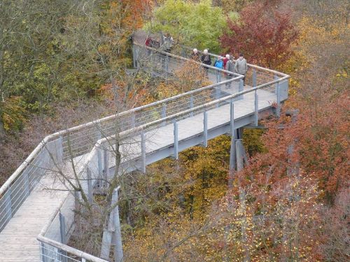 BaumKronenPfad 16 Okt.2012