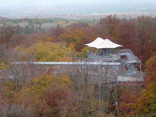 BaumKronenPfad 13 Okt.2012