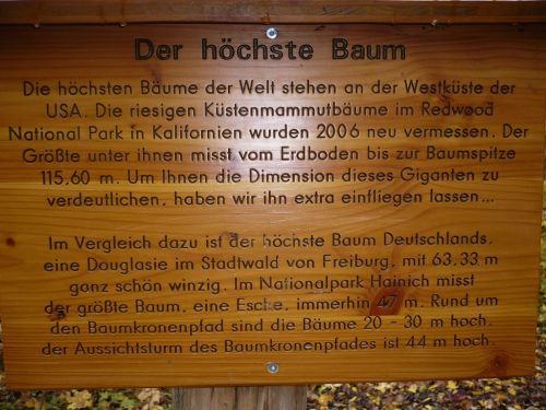 BaumKronenPfad 07 Okt.2012