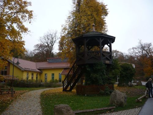 BaumKronenPfad 02 Okt.2012