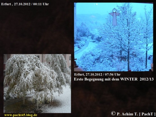 Wintereinbruch 2012_2013