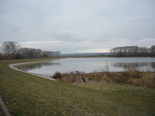 HerbstSpaziergang Immertal-Stausee 02 09.11.12