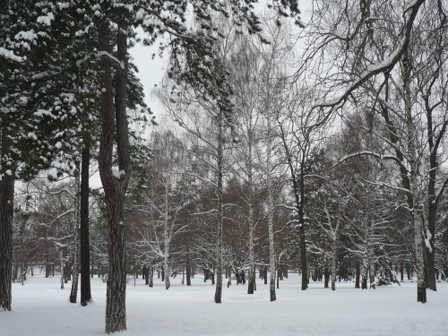 Erfurter SüdPark im Winter