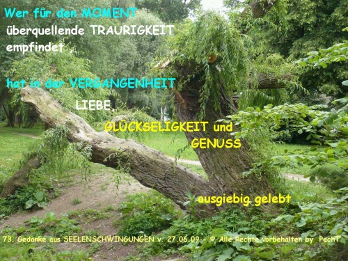 73.Gedanke_Ausgleichende Traurigkeit