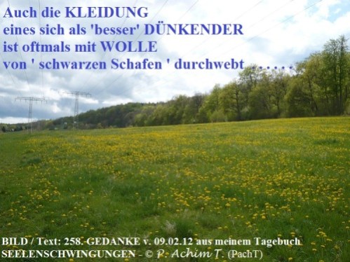 SSW258.Gedanke_Gleicher