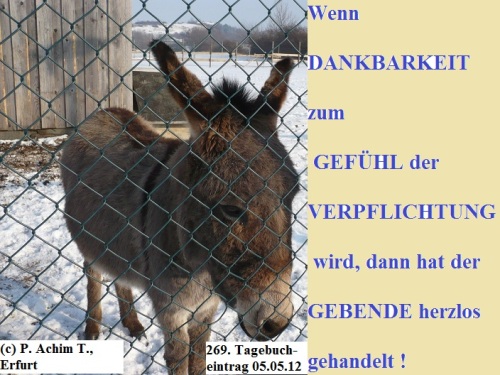 SSW269.Gedanke_Dankbarkeit