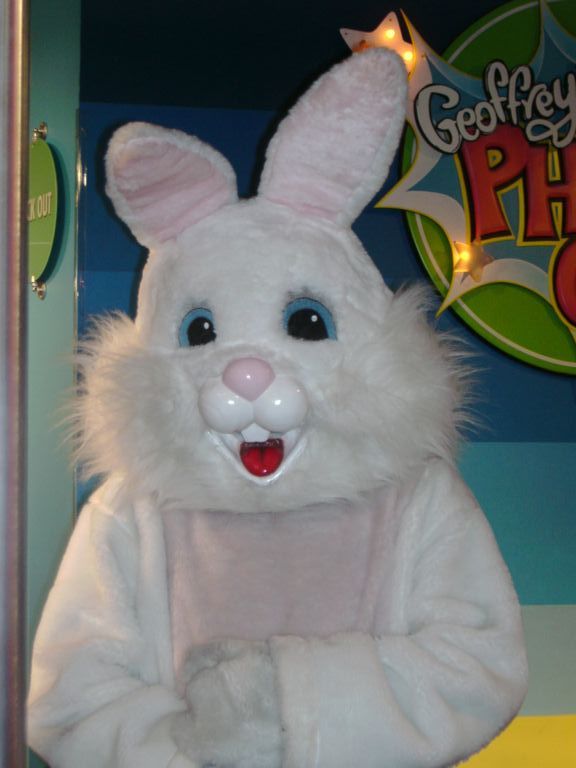 OsterHase läßt grüßen ...