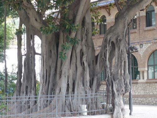 462 6.KSF MALAGA _ Impressionen