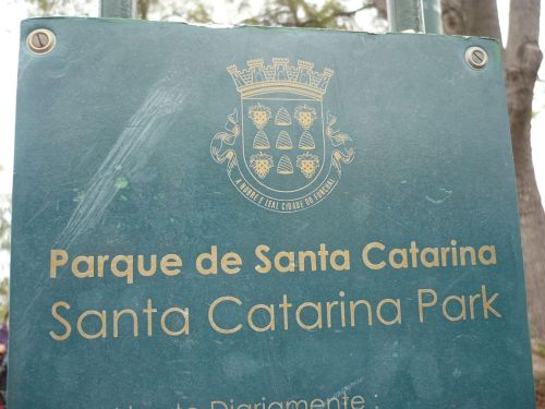 408 6.KSF FUNCHAL auf Madeira _ Impressionen