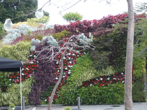 356 6.KSF St. CRUZ de TENERIFE_ Impressionen