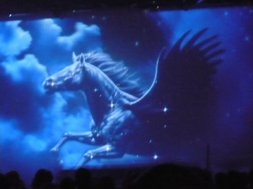 487 6.KSF GALA-ABSCHLUSS-REVUE