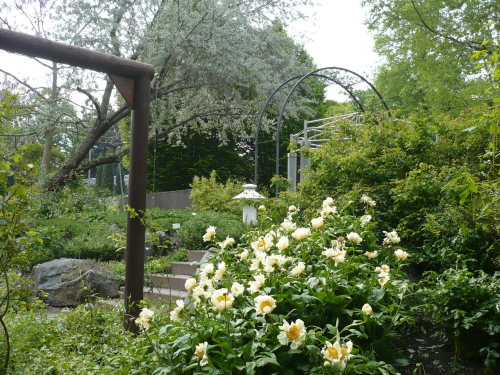 EgaPark M.-Pawlowna-Garten 11