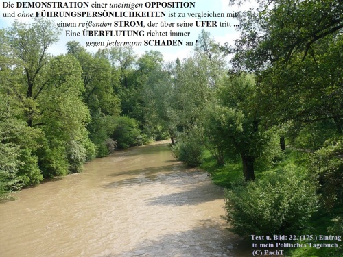 SSW175.Gedanke_PolitDemo