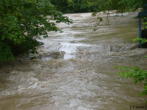Weimar Ilmpark Hochwasser 01.06.13 2