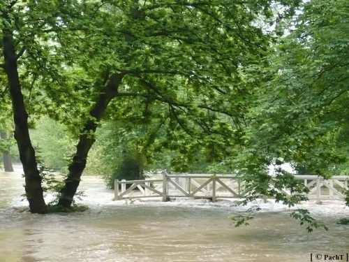 Weimar Ilmpark Hochwasser 01.06.13 6
