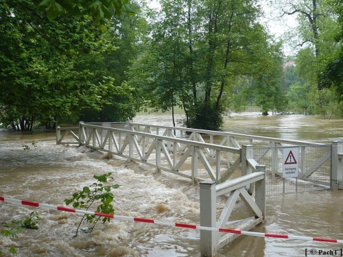 Weimar Ilmpark Hochwasser 01.06.13 7