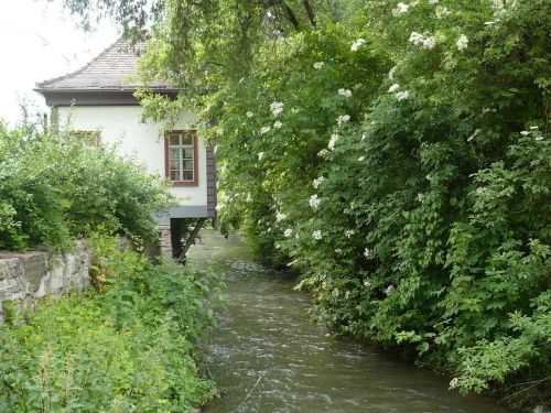 Erfurt Klein Venedig 04 Teehaus a.d. Gera