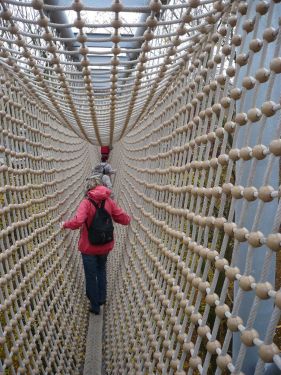 BaumKronenPfad 24 Okt.2012