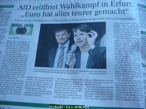 2013.06.28. A f D Erfurt_vorAnger1 05