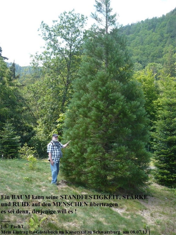 Schwarzburg 2013 - Impressionen 32