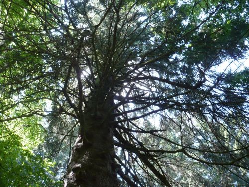 Schwarzburg 2013 - Impressionen 19