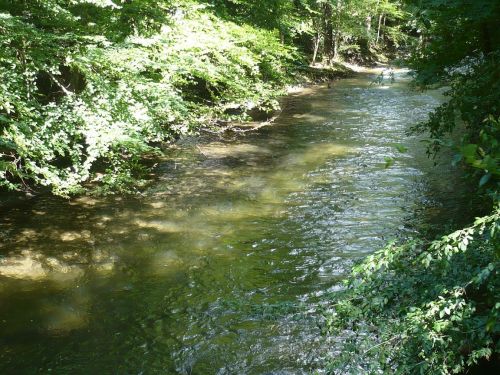 Schwarzburg 2013 - Impressionen 18