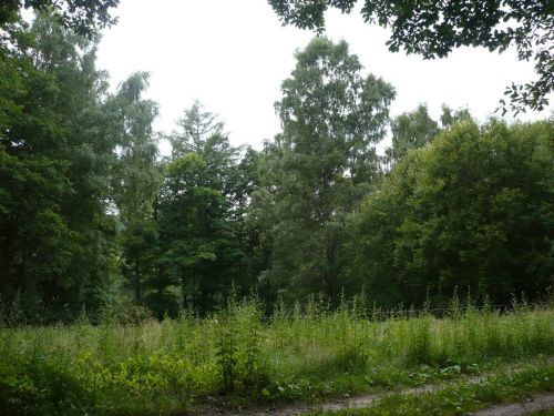 Tabarz Wanderung Panorama-WEG