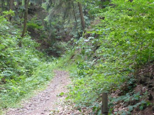 Tabarz Wanderung Panorama-WEG