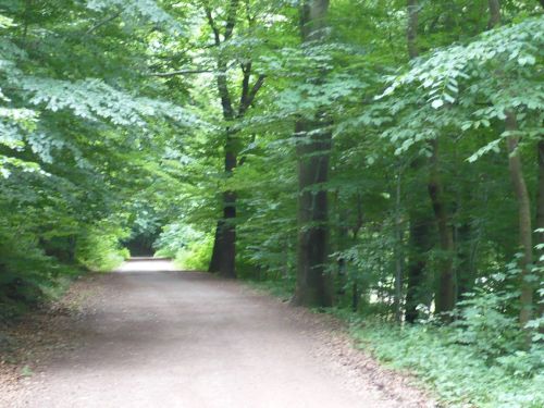 Tabarz Wanderung Panorama-WEG