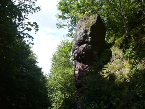 Tabarz Wanderung 2_19