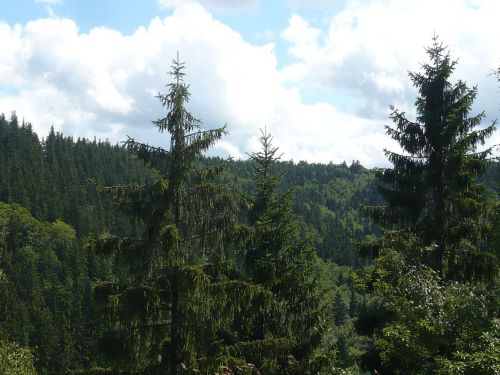 Tabarz Wanderung 2_15