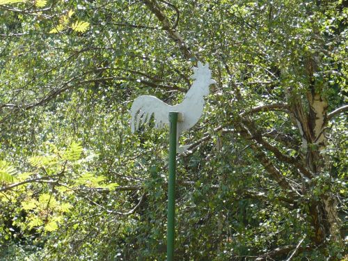 Tabarz Wanderung 2_14