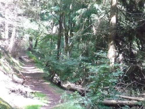 Tabarz Wanderung 2_13