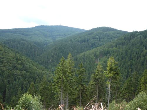 Tabarz Wanderung 2_10