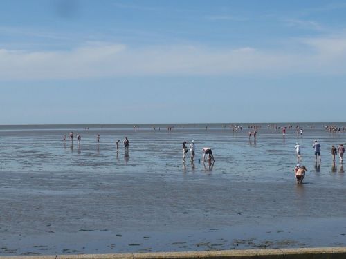 12 Dorum-Neufeld Urlaub