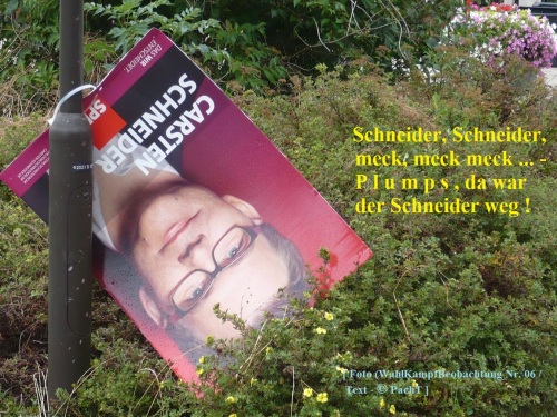 WahlKampfBeobachtung 2013 - 06 Ups