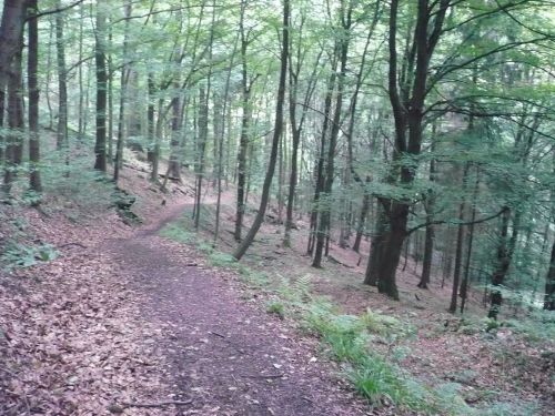 Tabarz Wanderung 3_26