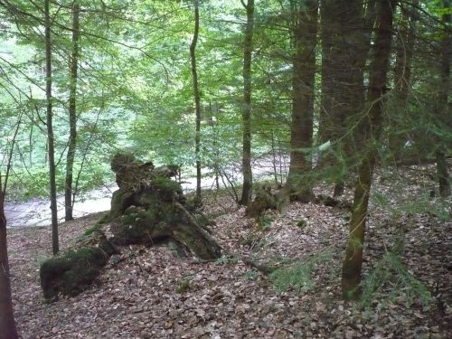 Tabarz Wanderung 3_25