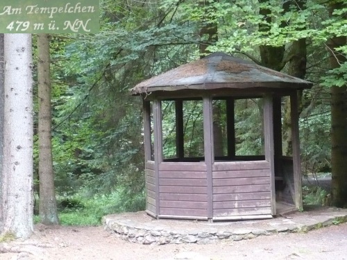 Tabarz Wanderung 3_24