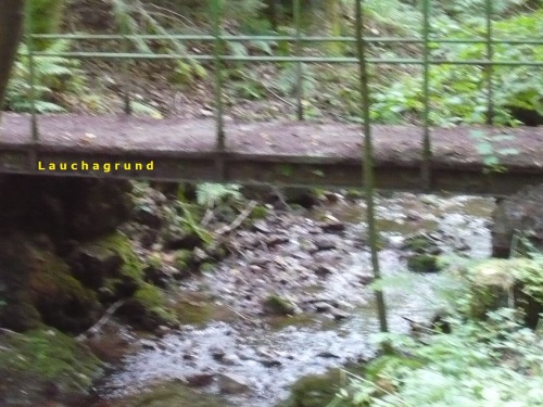 Tabarz Wanderung 3_22