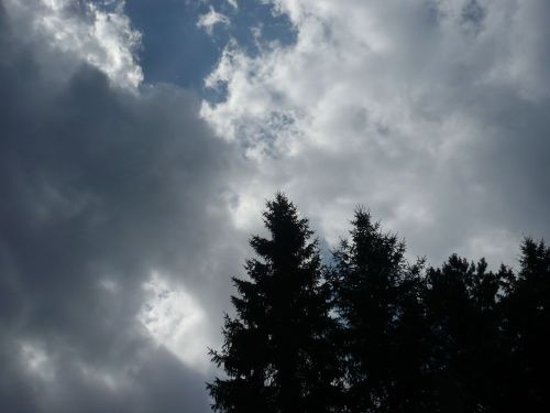 Tabarz Wanderung 3_15