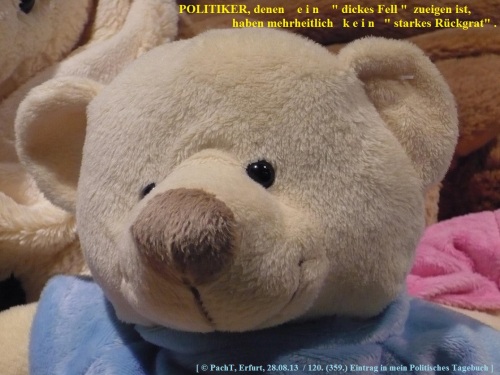 SSW359.Gedanke_PolitMarkenZ