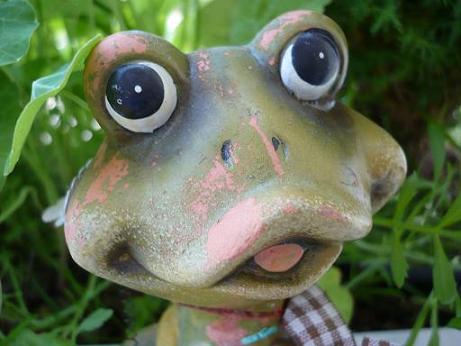 Frosch